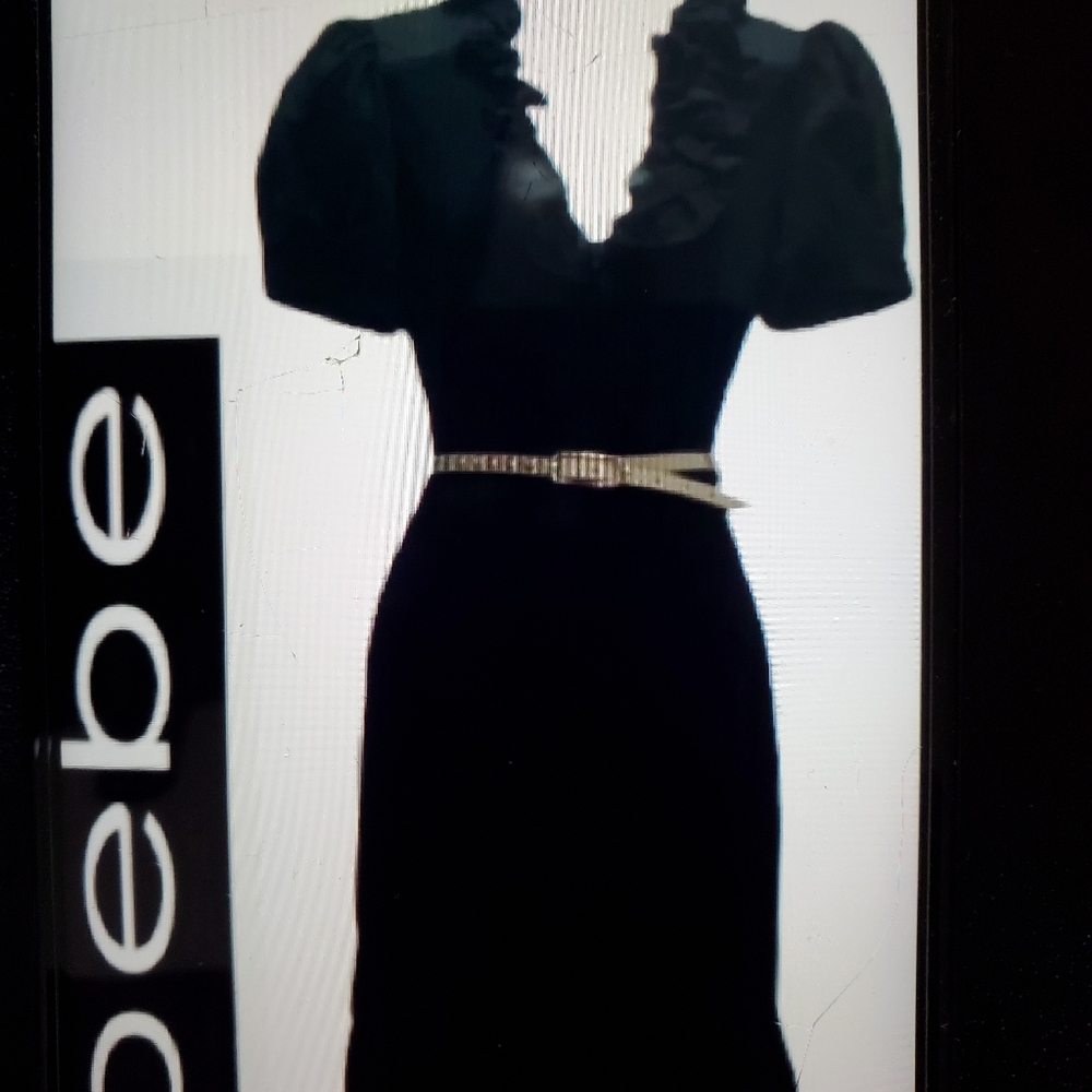 Bebe NWOT Puff Sleeve Ruffle Dress — (tag fell off). Never worn